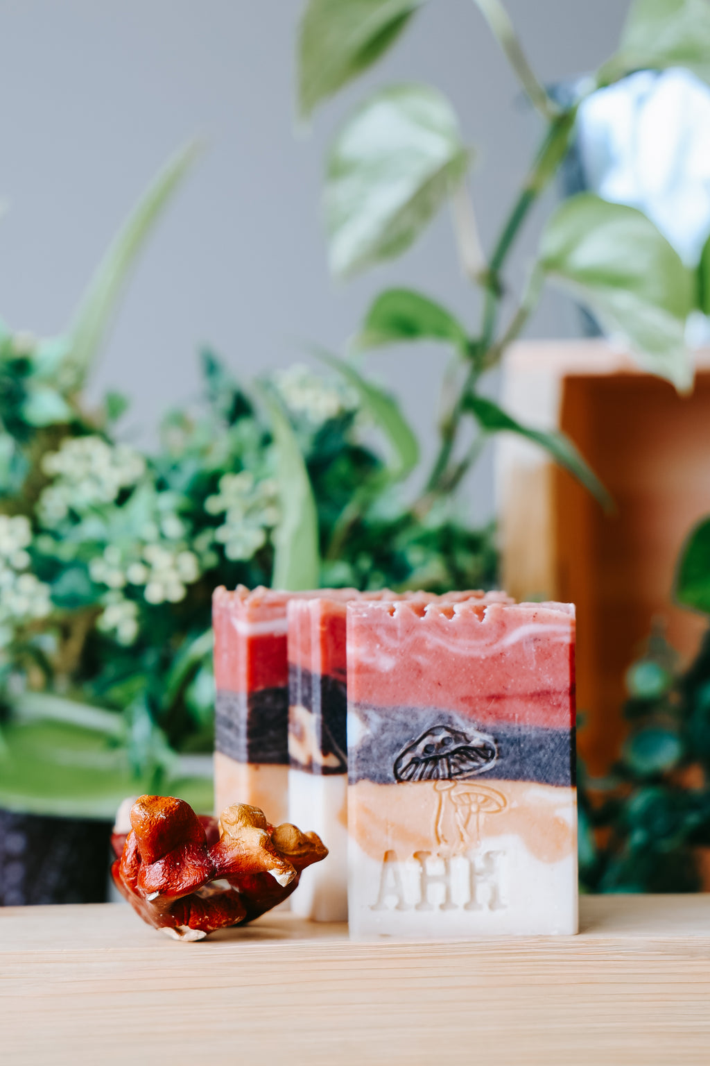 Of the Earth Face Soap