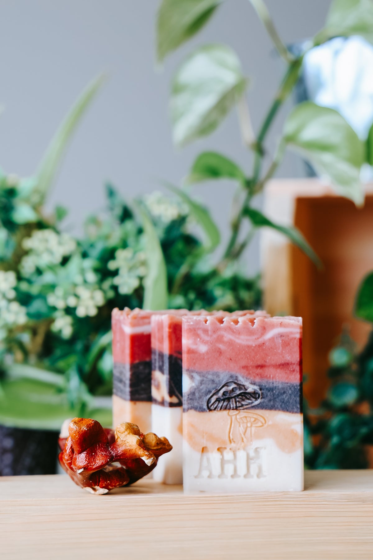 Of the Earth Face Soap