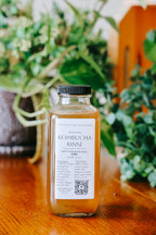 Original Kombucha Hair Rinse