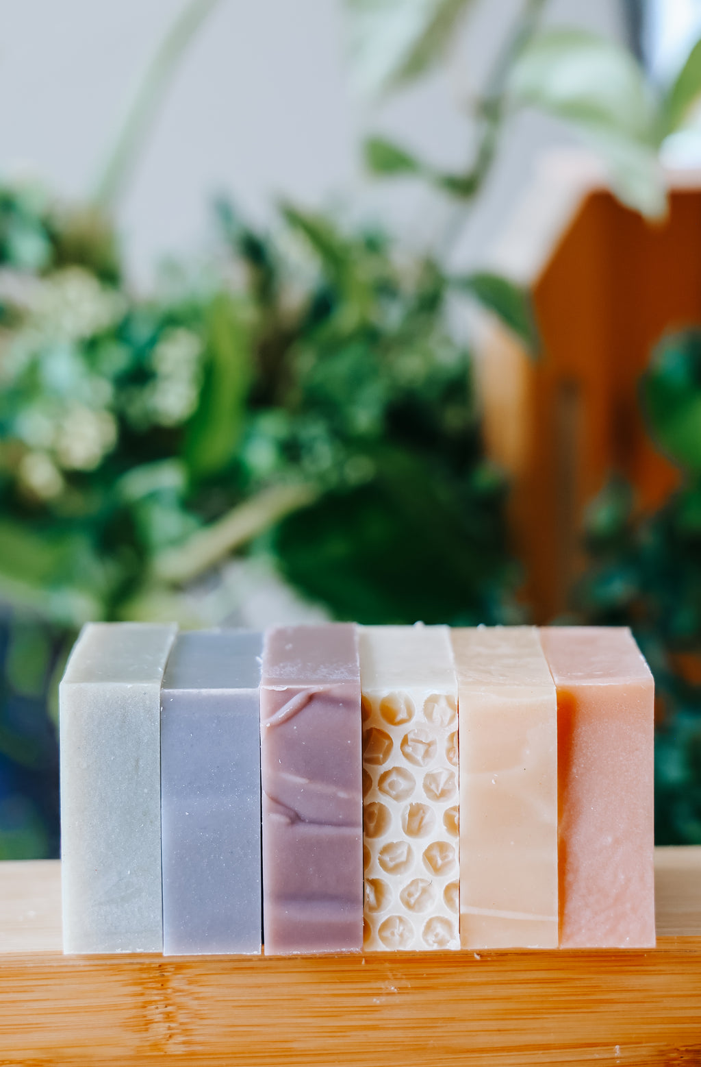 Eucalyptus Mint Shampoo Bar