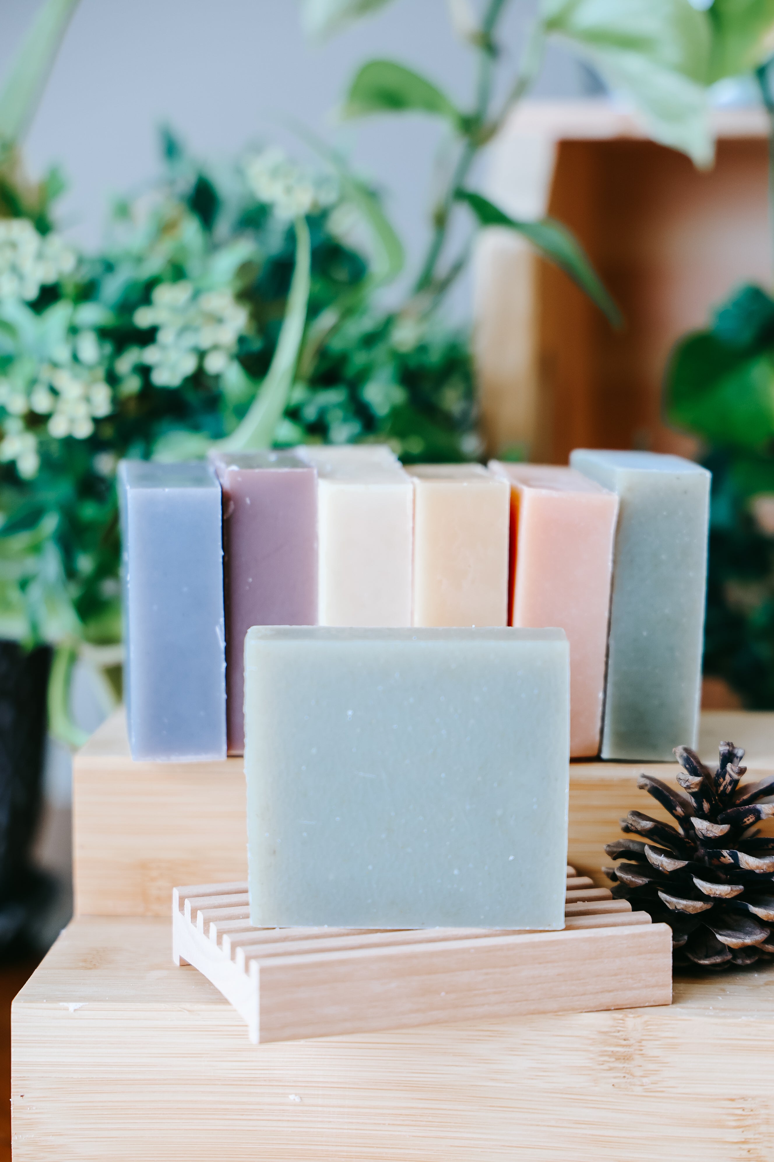 Eucalyptus Mint Shampoo Bar