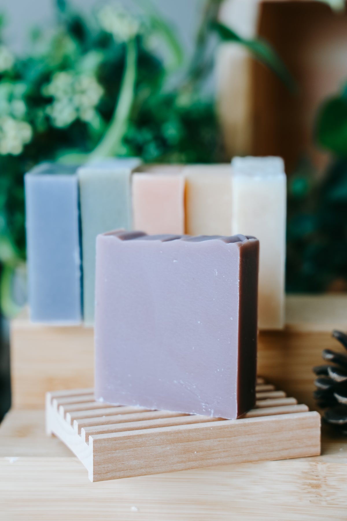 Shampoo Bar (6 Kinds)